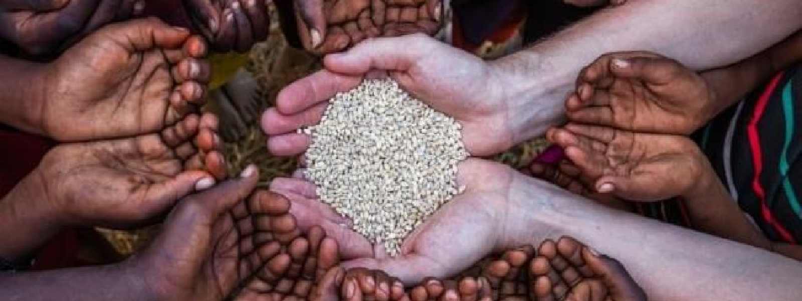 දස දෙනෙකුගෙන් තිදෙනෙක් ආහාර අනාරක්ෂිතභාවයෙන් - UN